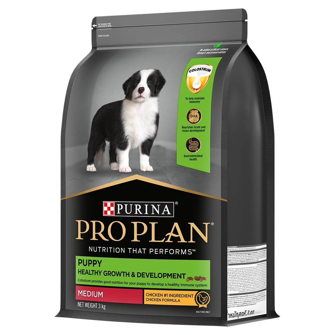 Adult dog puppy food outlet